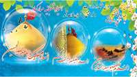 میلاد با سعادت سفینه النجات عالمیان حضرت اباعبدالله الحسین (ع) ، ساقی دشت کربلا باب الحوائج اباالفضل العباس (ع) و سید الساجدین امام زین العابدین (ع) بر عموم شیعیان مبارک باد.